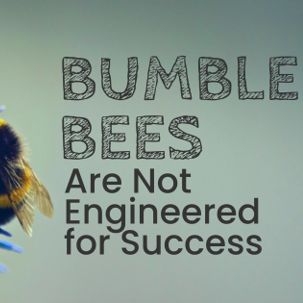 Bumblebees Are Not Engineered for Success